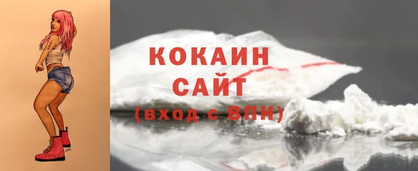 стаф Надым