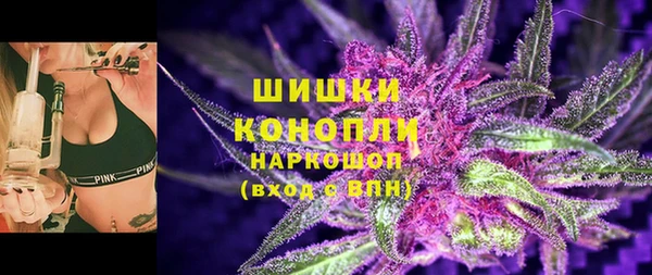 стаф Надым