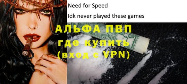 стаф Надым